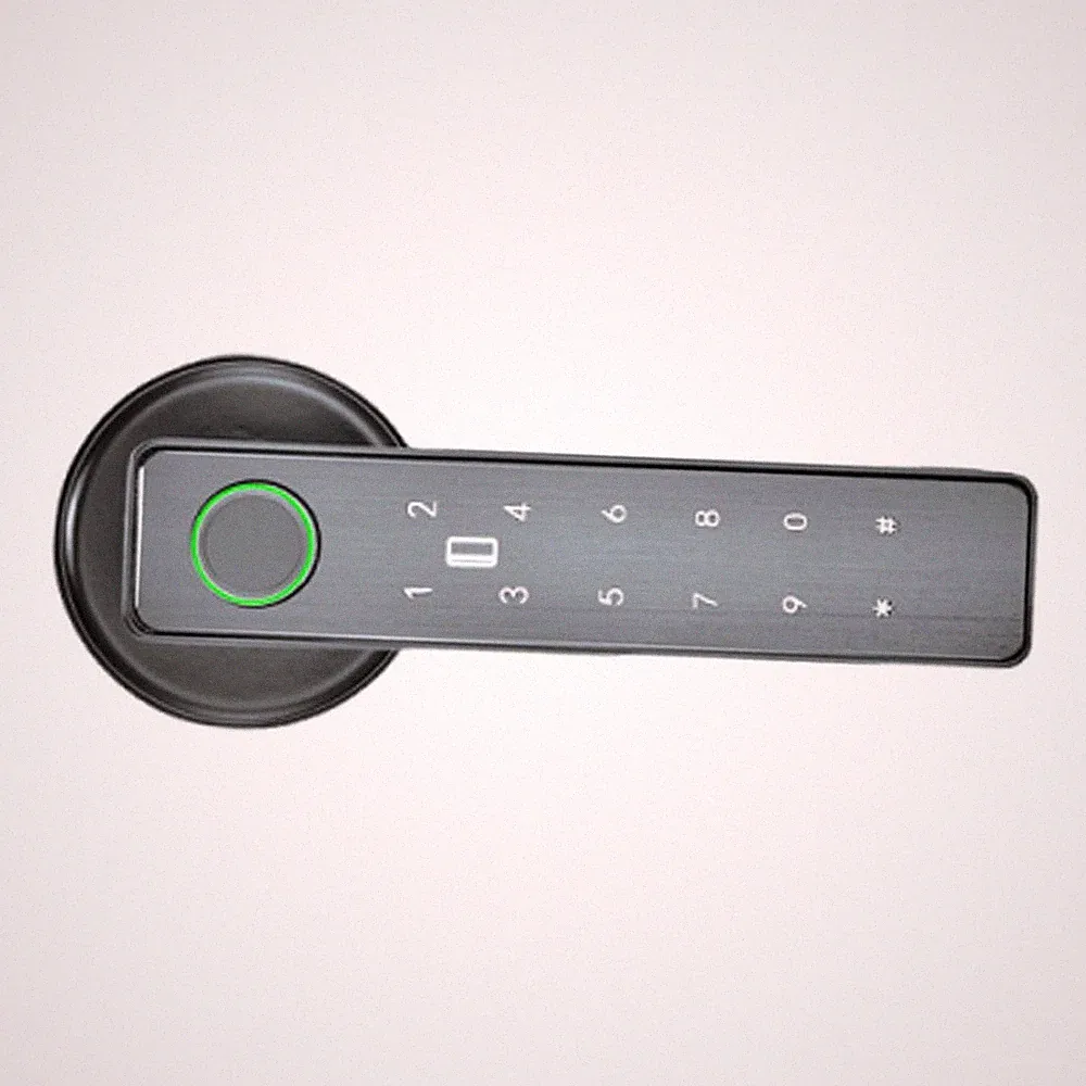 Smartes Türschloss mit App/IC-Karten/Codes/Schlüssel/Fingerabdruck für