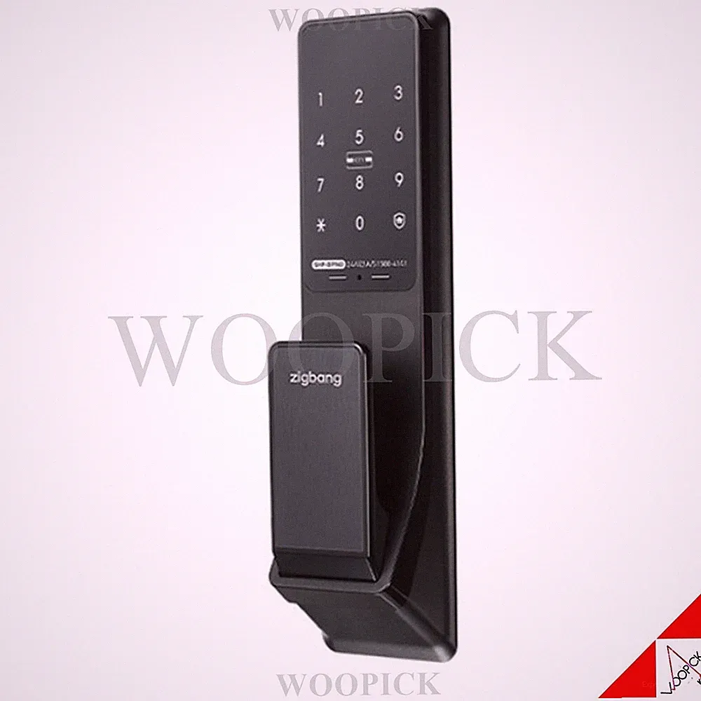 ZIGBANG Samsung SHP-DP740 Doppelschloss Touchpad Push Pull Smart Türschloss