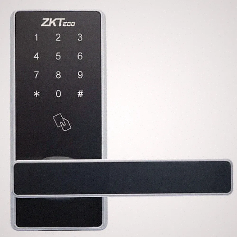 ZKTeco DL30Z Smartes Türschloss - Zigbee, Passwort & Schlüsselzugang - Schwarz